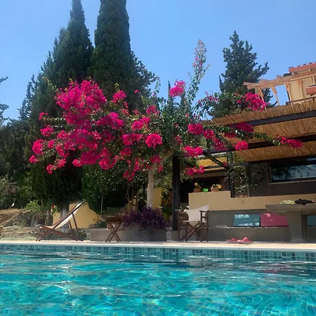 Ulysses Gardens - Dimitra Villa Kouvalata